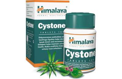 HIMALAYA CYSTONE 100 tablet